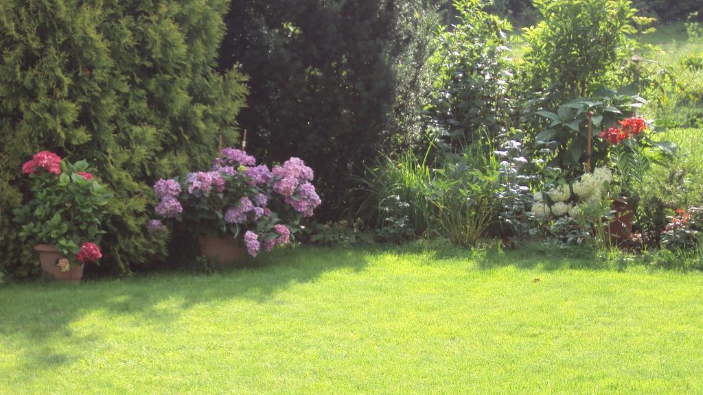 Ferienwohnung As Gosciniec Mikołajki Exterior foto